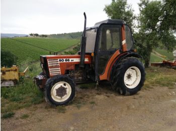 Farm tractor FIAT 80/66 DTF: picture 1
