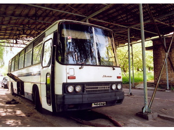 IKARUS 250.59 - Coach
