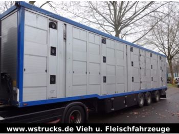 Livestock semi-trailer Menke 3 Stock Lenk Lift Typ2 Lüfter Dusche Tränk: picture 1