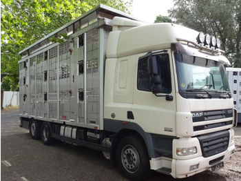 Livestock truck DAF  CF 85/480 SC KABA 3 Stock Vollalu Hubdach: picture 1