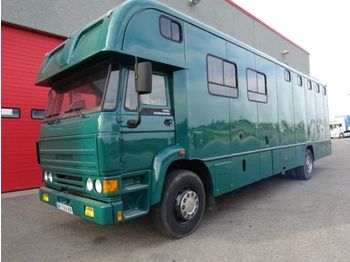 Livestock truck DAF FA 2505 DHS 610 - 4x2. Capacity 5 horses + House: picture 1