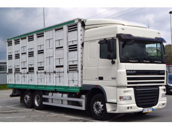 Livestock truck DAF XF 105.460 Tiertransportwagen 7,50 m Top Zustand: picture 1