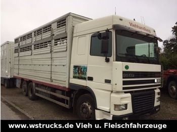 Livestock truck DAF XF 95/380 Schaltgetriebe Pezzaioli 3 Stock: picture 1