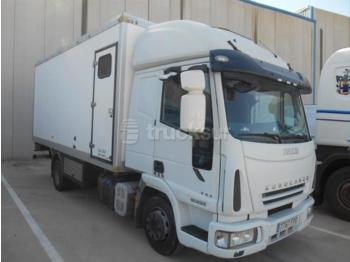 Box truck Iveco: picture 1