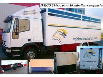 Livestock truck Iveco Eurocargo ML120E23 - New box transport 10 horses: picture 1