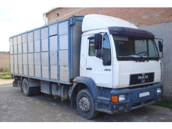 Livestock truck MAN 12.224 LC - 4x2. Truck to transport live cattle.: picture 1