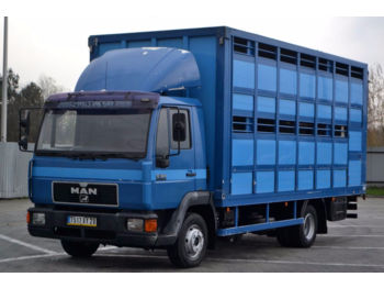 Livestock truck MAN 12.224 Tiertransportwagen 5,90 m Top Zustand: picture 1