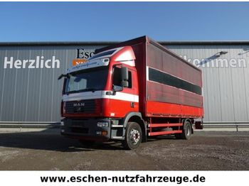 Curtainsider truck MAN 15.240 L, LBW, Klima, Blatt / Luft: picture 1
