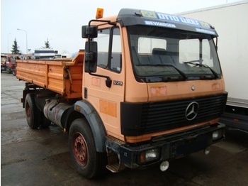 Cab chassis truck MERCEDES BENZ 1729 SK: picture 1