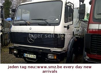 Cab chassis truck Mercedes-Benz 2629 ! MANY!grande stock: picture 1