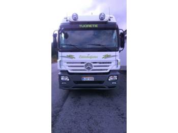 Container transporter/ Swap body truck Mercedes-Benz Actros 2532L: picture 1