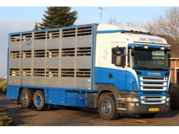 Livestock truck Scania R380 !!BERDEX LIVESTOCK PIGS!!2007!!591tkm!!!!: picture 1