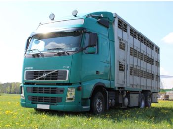 Livestock truck VOLVO FH 12.460: picture 1
