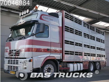 Livestock truck Volvo FH 480 XL 6X2 3-Lagen VEB+ Lift+Lenkachse Standklima Euro 5 NL-Truck: picture 1