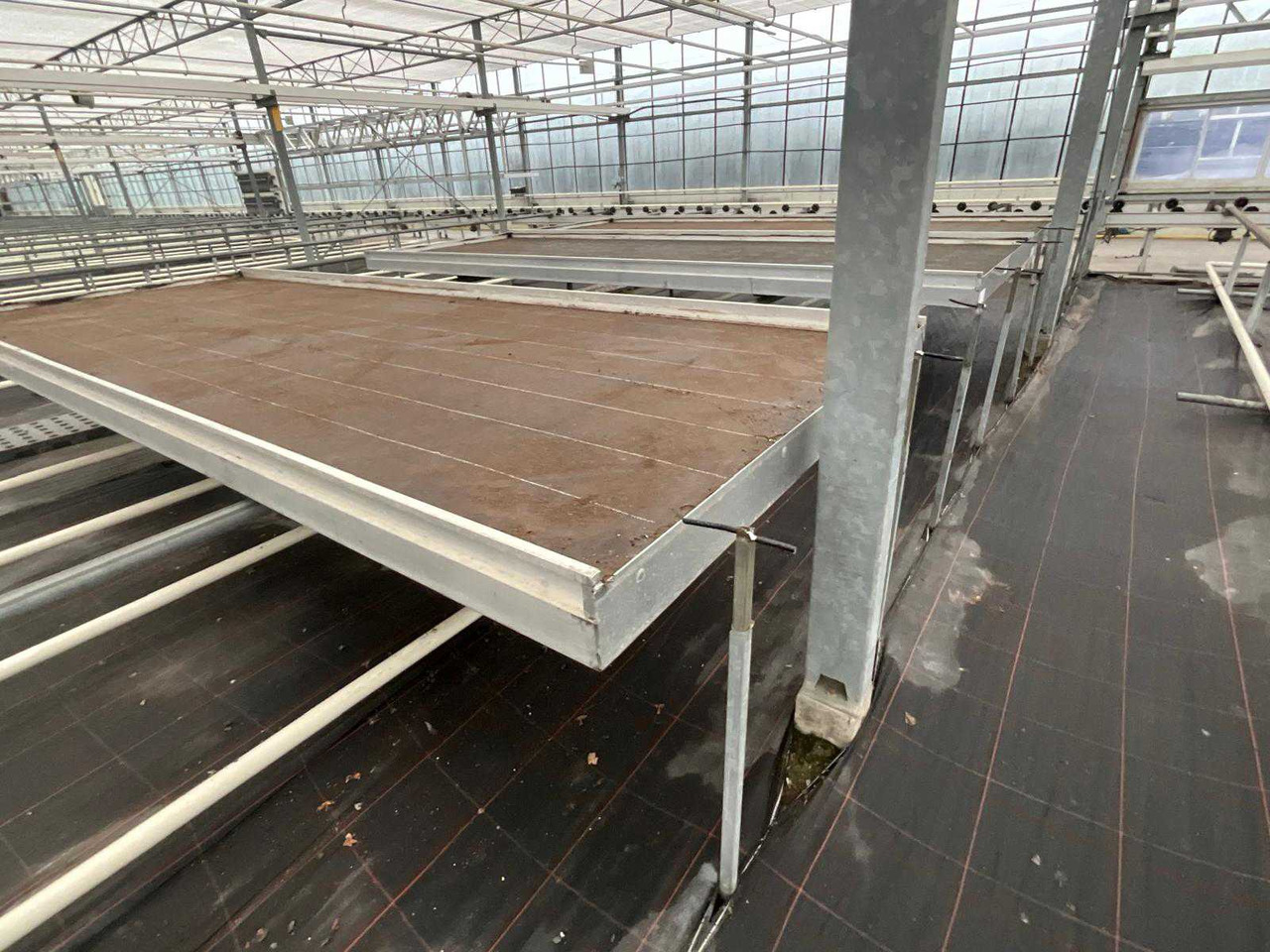 Agricultural machinery Aluminum cultivation table (4.50x1.63 mtr) (50x)