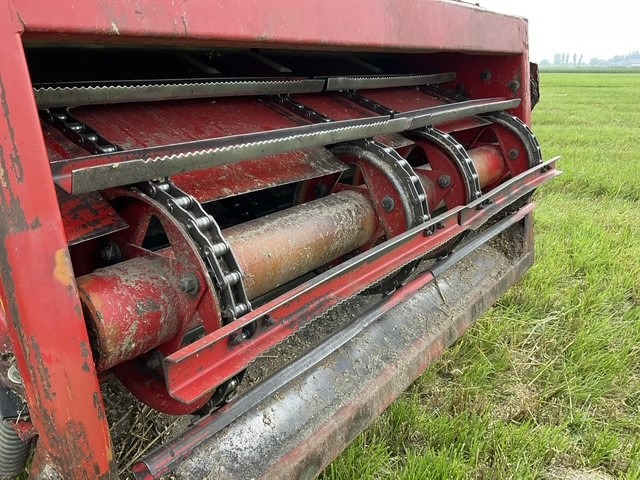 Combine harvester MASSEY FERGUSON 38RS