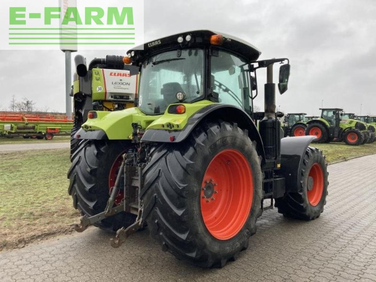 Farm tractor CLAAS arion 650 st4 hexa