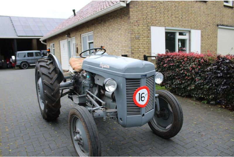 Farm tractor Ferguson TED
