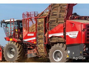 Combine harvester GRIMME Rexor 6200 Platinum: picture 1