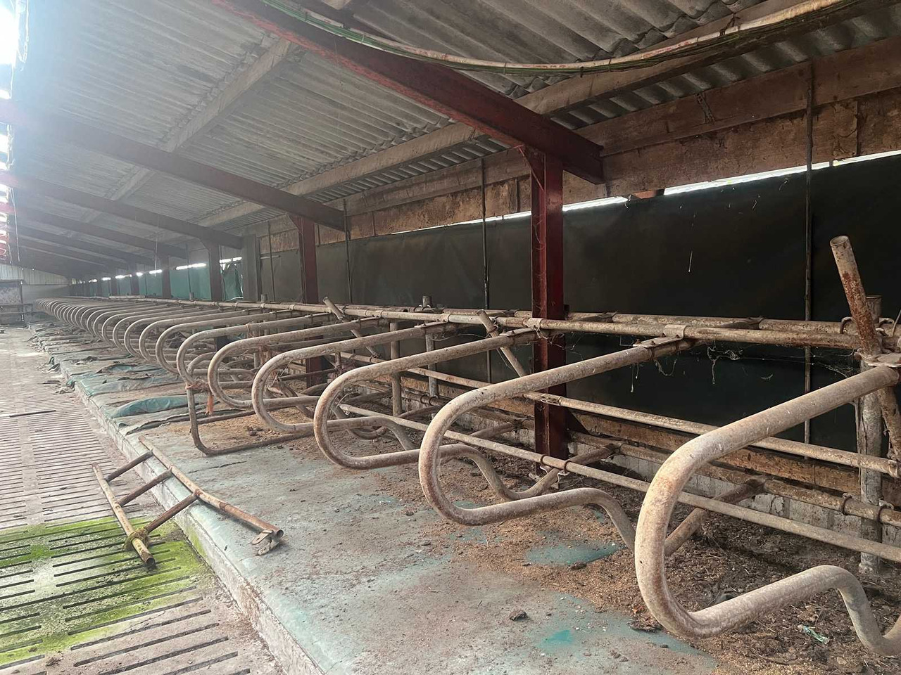 Livestock equipment Cubicle interior