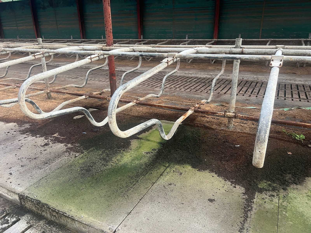 Livestock equipment Cubicle interior