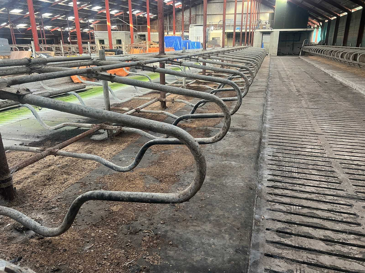 Livestock equipment Cubicle interior