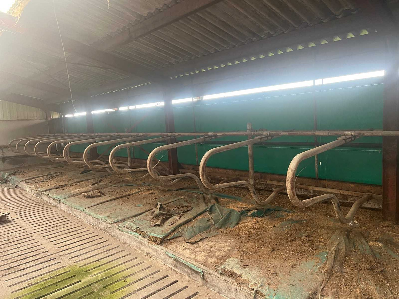 Livestock equipment Cubicle interior