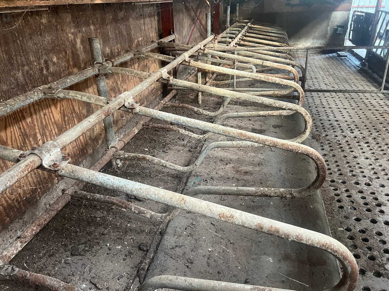 Livestock equipment Cubicle interior