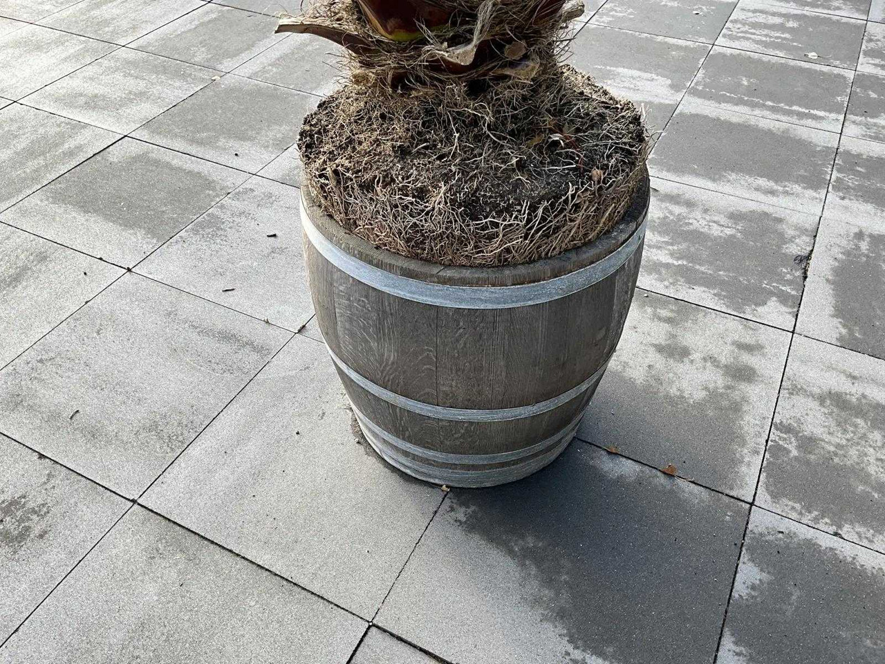 Agricultural machinery Planter with palm