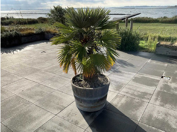 Agricultural machinery  Planter with plant