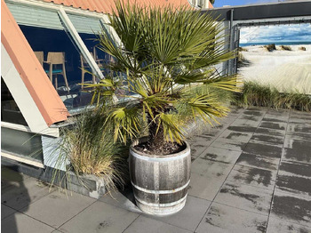 Agricultural machinery  Planter with plant