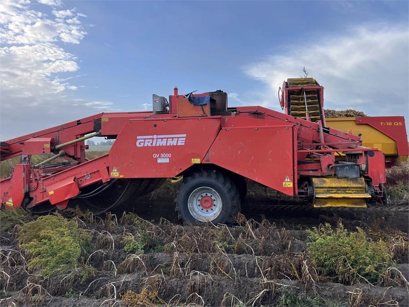 Potato harvester Grimme GV 3000