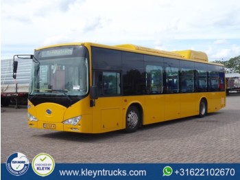City bus BYD EBUS 12 GREENCITY full electric: picture 1