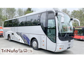 Coach MAN MAN R 07 Lions Coach | 51 Schlafsitze |