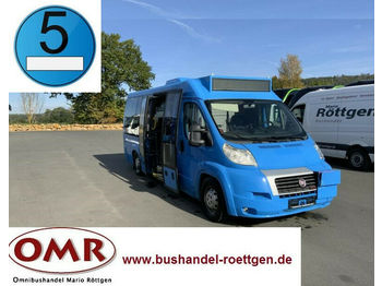 Minibus, Passenger van Fiat Ducato Maxi 40/Sprinter City/Midi/EEV: picture 1