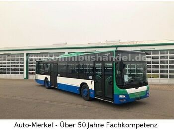 City bus MAN A21 LIONS CITY/KLIMA/ Mehrere Fahrzeuge verfügb.: picture 1