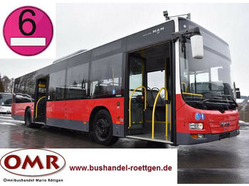 City bus MAN A21 / Lion's City / 530 / Citaro / Euro 6: picture 1