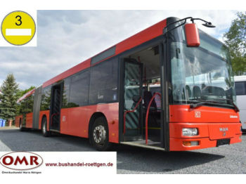 City bus MAN A23/Lion's City / 530 G / Citaro / Klima: picture 1