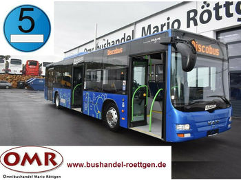 City bus MAN A 21 Lion´s City / O 530 / A 20 / 3 türig /Klima: picture 1
