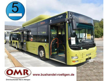 City bus MAN A 44 Lions City / NL 313 CNG / Erdgas / A 26: picture 1