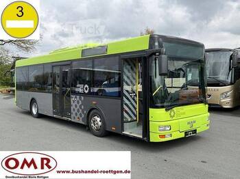 City bus MAN - A 76/ Midi/ O 530 K Citaro/ Urbino/ A 66/ Klima: picture 1