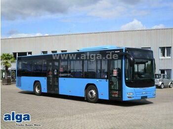City bus MAN Lions City, A78, Euro 6, A/C, 43 Sitze: picture 1