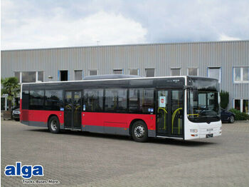 City bus MAN MAN Lions City, A21, Euro 5 EEV, Klima, 320 PS: picture 1