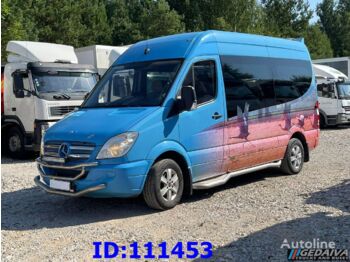 Minibus, Passenger van MERCEDES-BENZ Sprinter 319 VIP Luxury Euro5: picture 1
