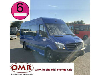 Minibus, Passenger van Mercedes-Benz 516 CDI Sprinter / 20 Sitzer / Euro 6: picture 1