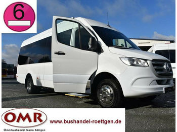 New Minibus, Passenger van Mercedes-Benz 516 CDI Sprinter / Neufahrzeug / 21 Sitze: picture 1