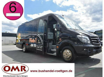 Minibus, Passenger van Mercedes-Benz 519 CDI / Sprinter / THT-Ausbau: picture 1