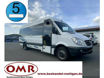 Minibus, Passenger van Mercedes-Benz  519 CDI / Sprinter / Travel /Crafter: picture 1