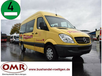 Minibus, Passenger van Mercedes-Benz 906 AC 30 Sprinter: picture 1