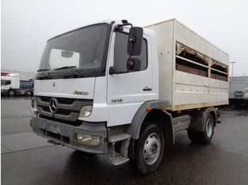 Bus Mercedes-Benz ATEGO 1018 4X4: picture 1